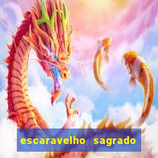 escaravelho sagrado e perigoso